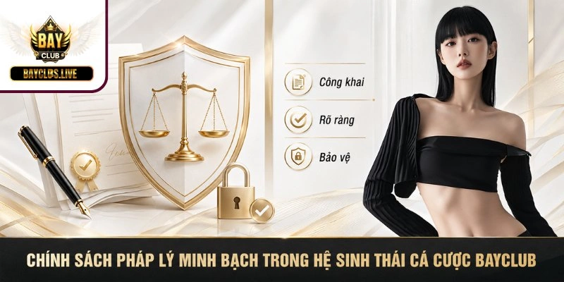 Chính sách pháp lý minh bạch trong hệ sinh thái cá cược BAYCLUB