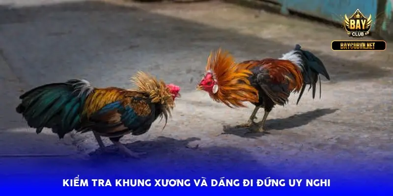 Kiểm tra khung xương và dáng đi đứng uy nghi