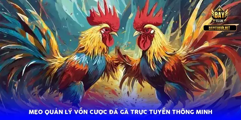 Mẹo quản lý vốn cược đá gà trực tuyến thông minh