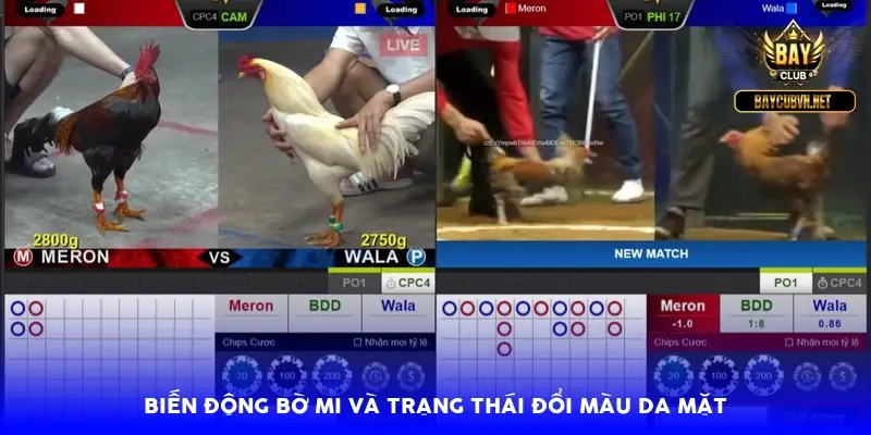 Biến động bờ mi và trạng thái đổi màu da mặt