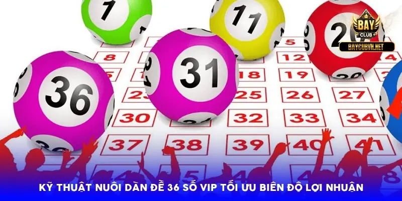 Kỹ thuật nuôi dàn đề 36 số vip tối ưu biên độ lợi nhuận